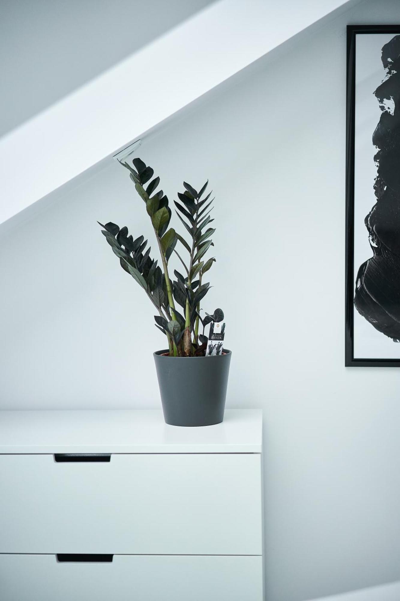 Apartmán Unique Design Loft In Middle Of Centre Of Old Town With Netflix Krakov Exteriér fotografie